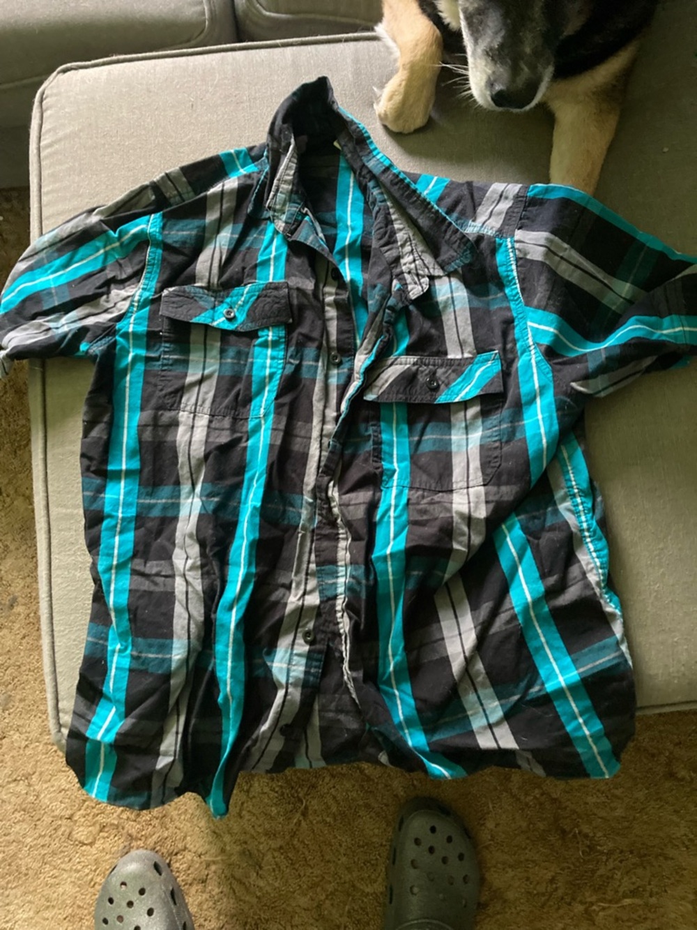 Canyon River Blues Black and Teal Plaid Short-Sleeve Button-Up Shirt
